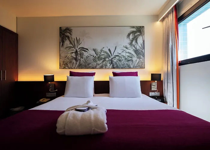 Mercure Centre Hotel Perpinhã